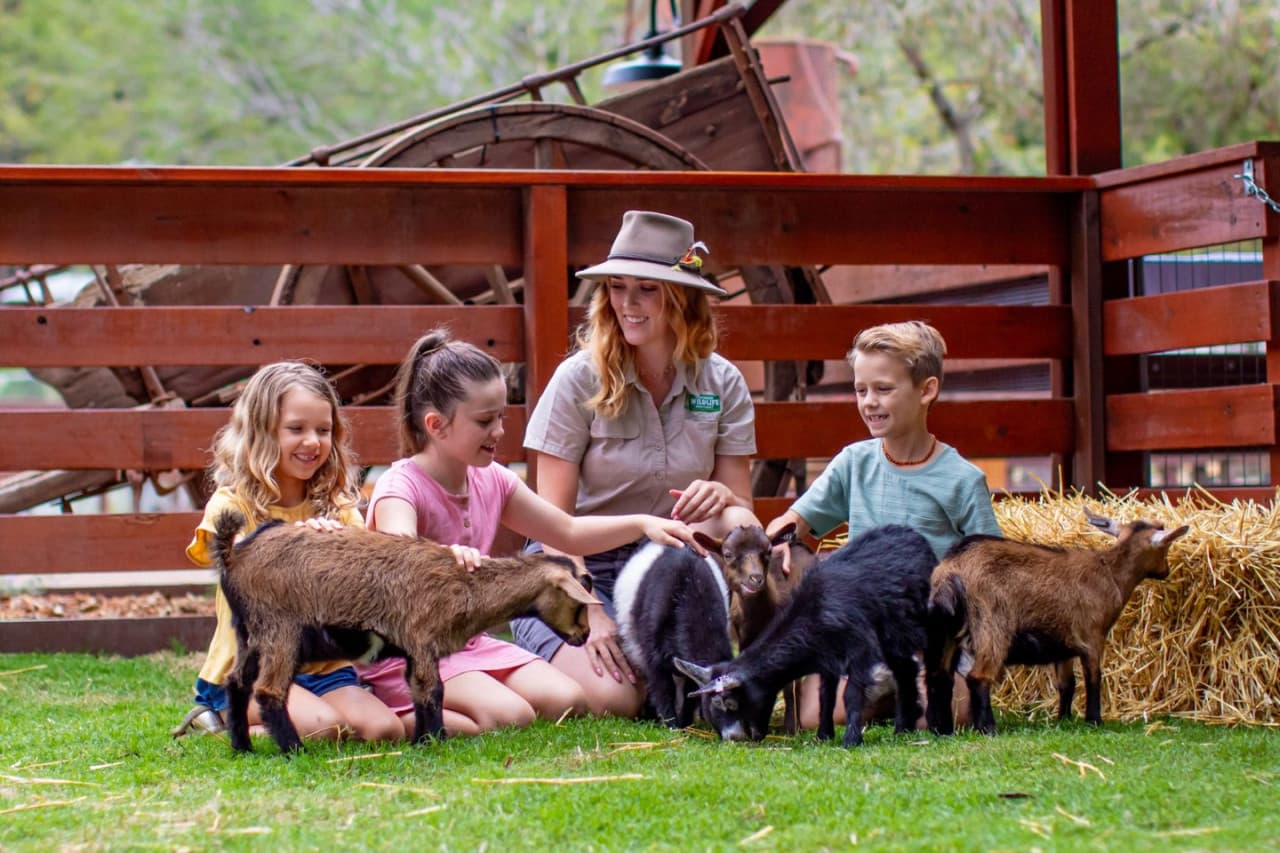 Билет в Currumbin Wildlife Sanctuary на Голд-Косте, фото 5