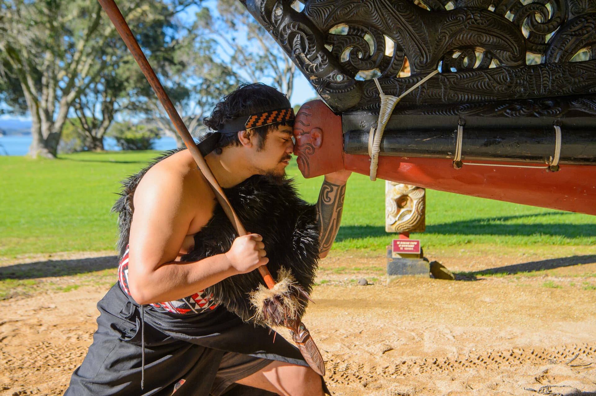 Waitangi Treaty Grounds Ticket with Cultural Guided Tour - main image